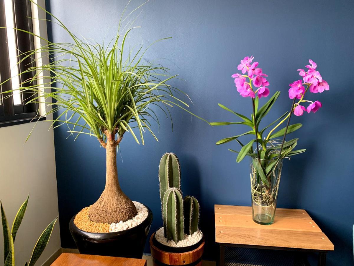 Blue Horse Apartment In New Polanco. 墨西哥城 外观 照片