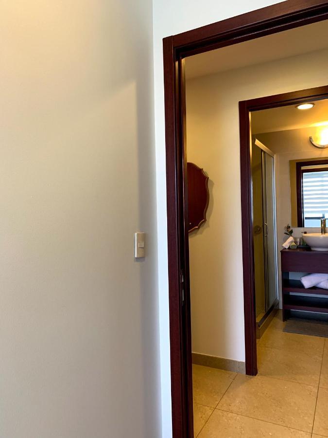 Blue Horse Apartment In New Polanco. 墨西哥城 外观 照片