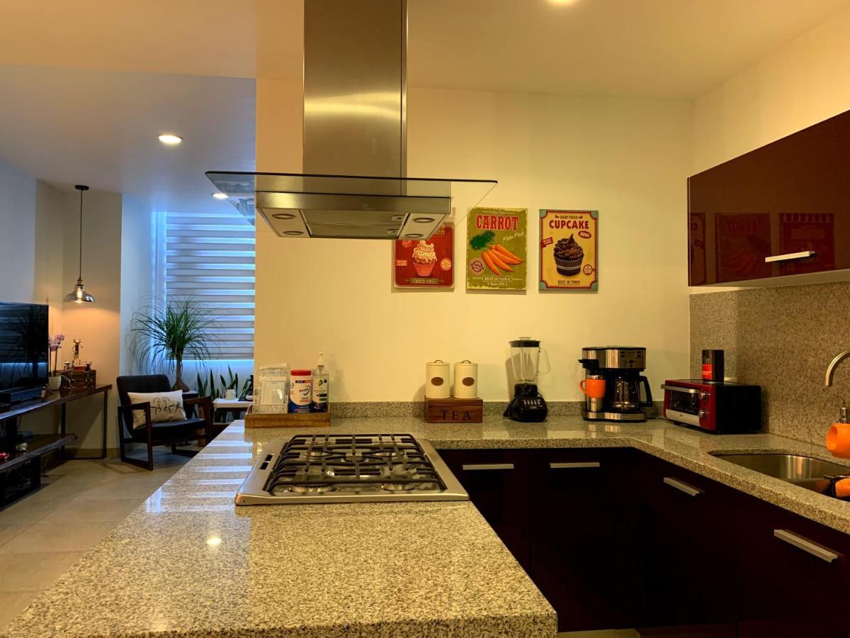 Blue Horse Apartment In New Polanco. 墨西哥城 外观 照片
